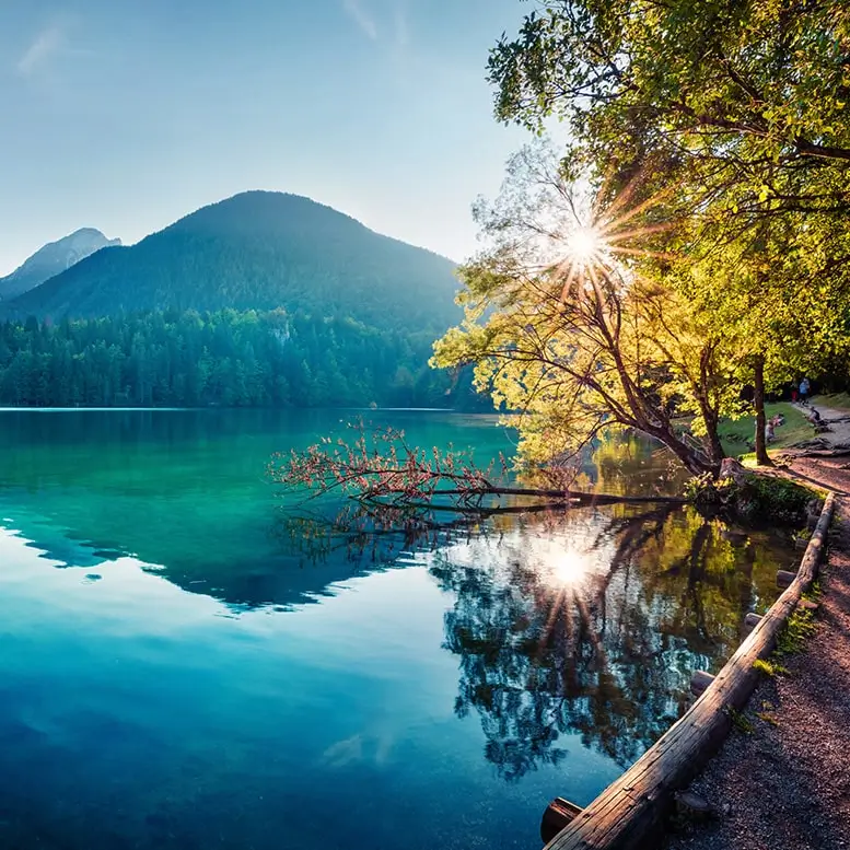 [Market] Property Management